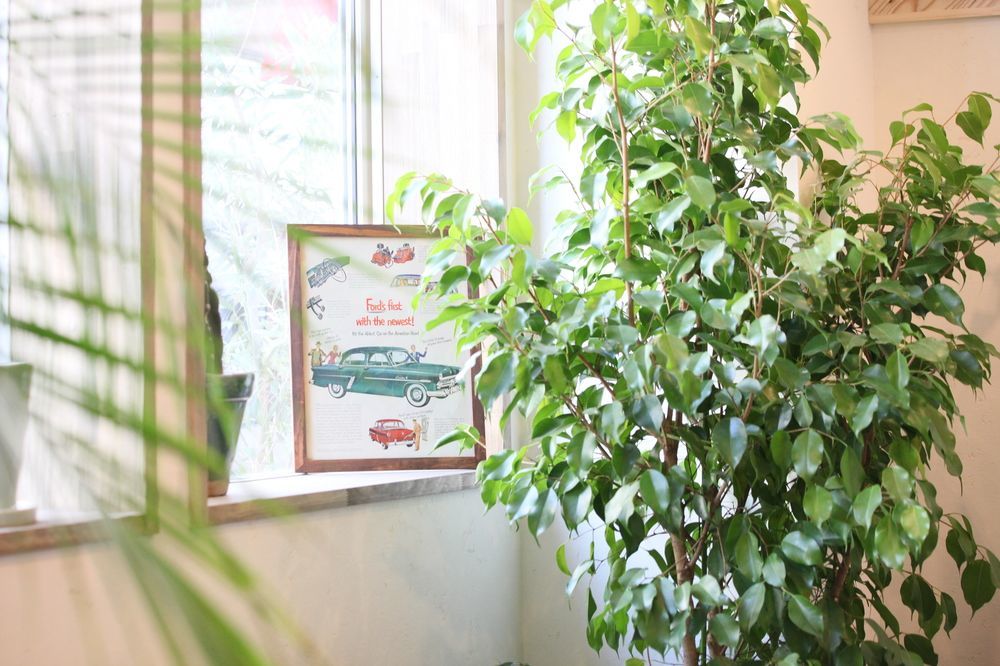 North Front Hostel Fukuchiyama Ngoại thất bức ảnh